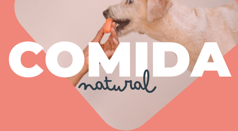 comida natural para cachorro